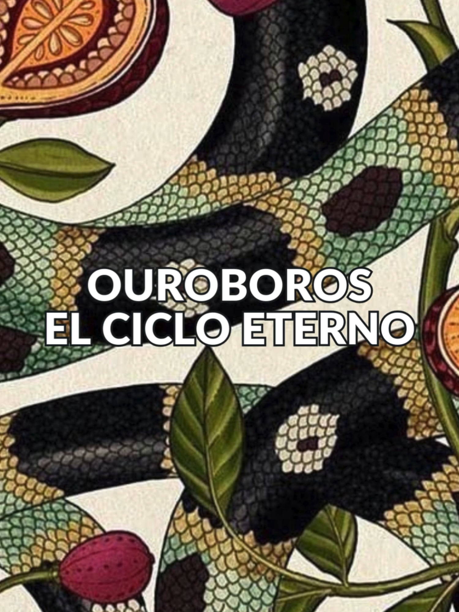 El Ouroboros nos enseña que todo en la vida es transformación. ¿Qué ciclo en ti está cerrando y cuál comienza? #alquimia #ouroboros #mitologíaclásica #MagiaEterna #transformaciónpersonal #ViajeEspiritual #práctica #sanaciónenergética #intención #ocultismo#misticismohermético