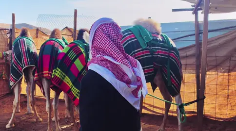 #اكسبلور ماشاءالله 