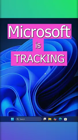 Windows 11 hidden settings Microsoft doesn’t want you to know part: 5 Privacy Lockdown #windows #window11 #techtok #techtips #microsoft 