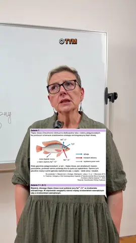 Macie problem z określeniem w jakim środowisku żyje dany organizm? ✨ Jest na to prosty sposób! 🔥 Hipopotam idzie do hipermarketu!  #matura2026 #kursymaturalne #biolchem #kursyonline #dlaciebie  