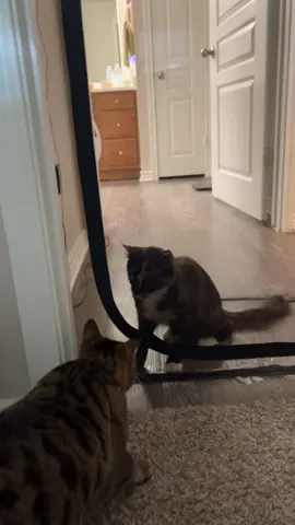 safe to say they did not become besties