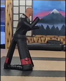 Here a clip from one of our other videos. It took quite a few takes to make it look realistic. Check out the original on our profile! #karate #martialarts #mortalkombat #funny #fyp 