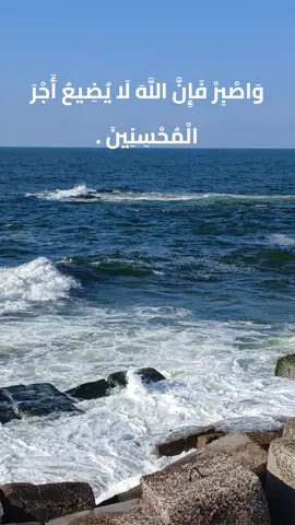 وَاصْبِرْ فَإِنَّ اللَّهَ لَا يُضِيعُ أَجْرَ الْمُحْسِنِينَ