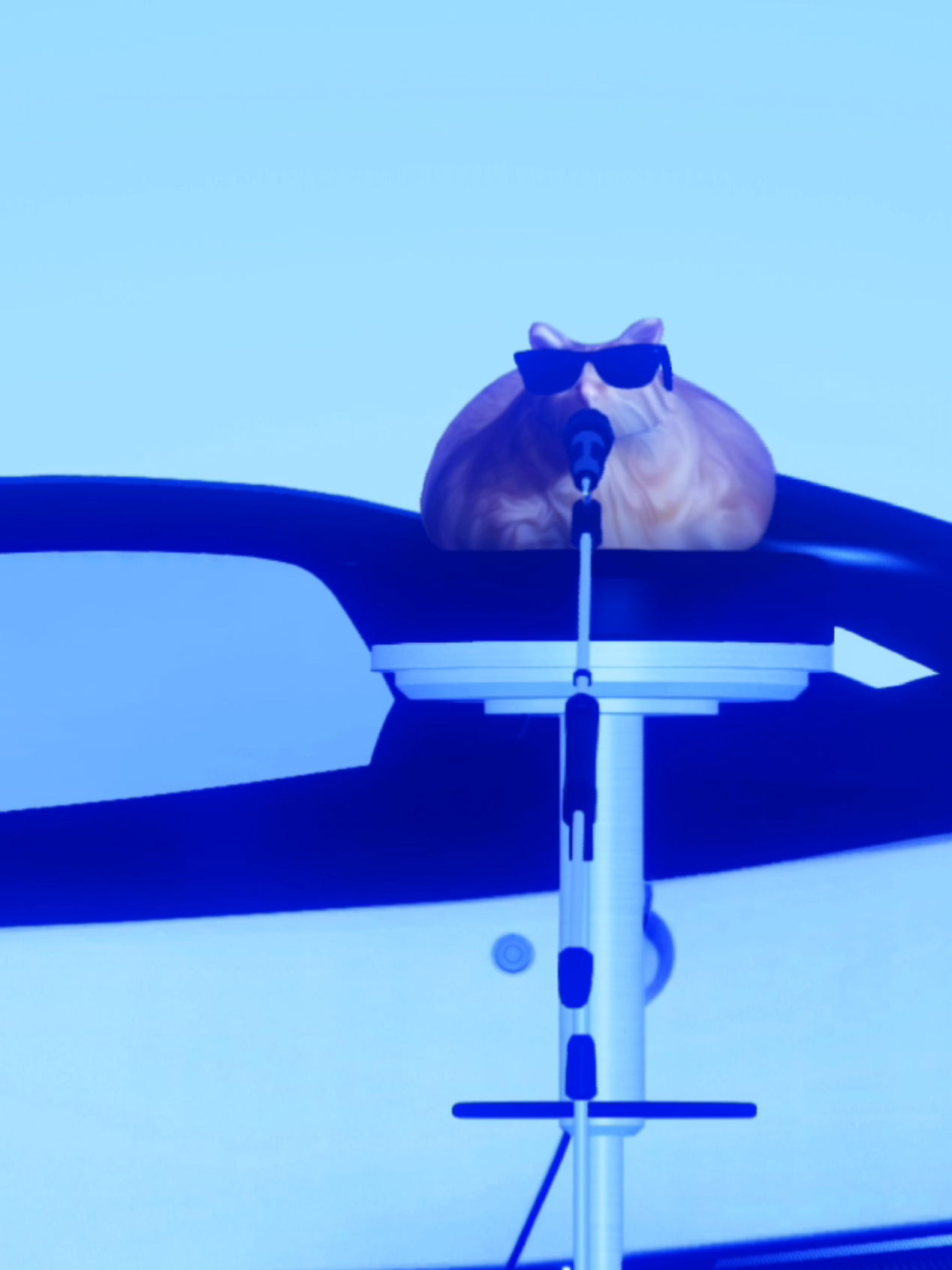 To move forward, we must first let go. #meow #pablo #animals #cat #cartok 