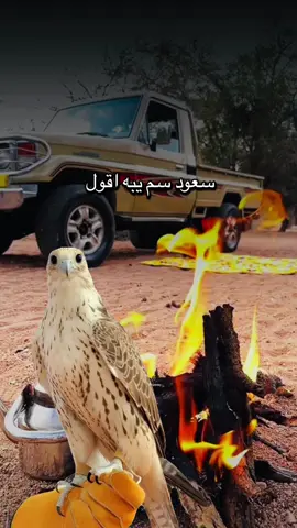 #أكسبلور_شعر_حكم_خواطر 