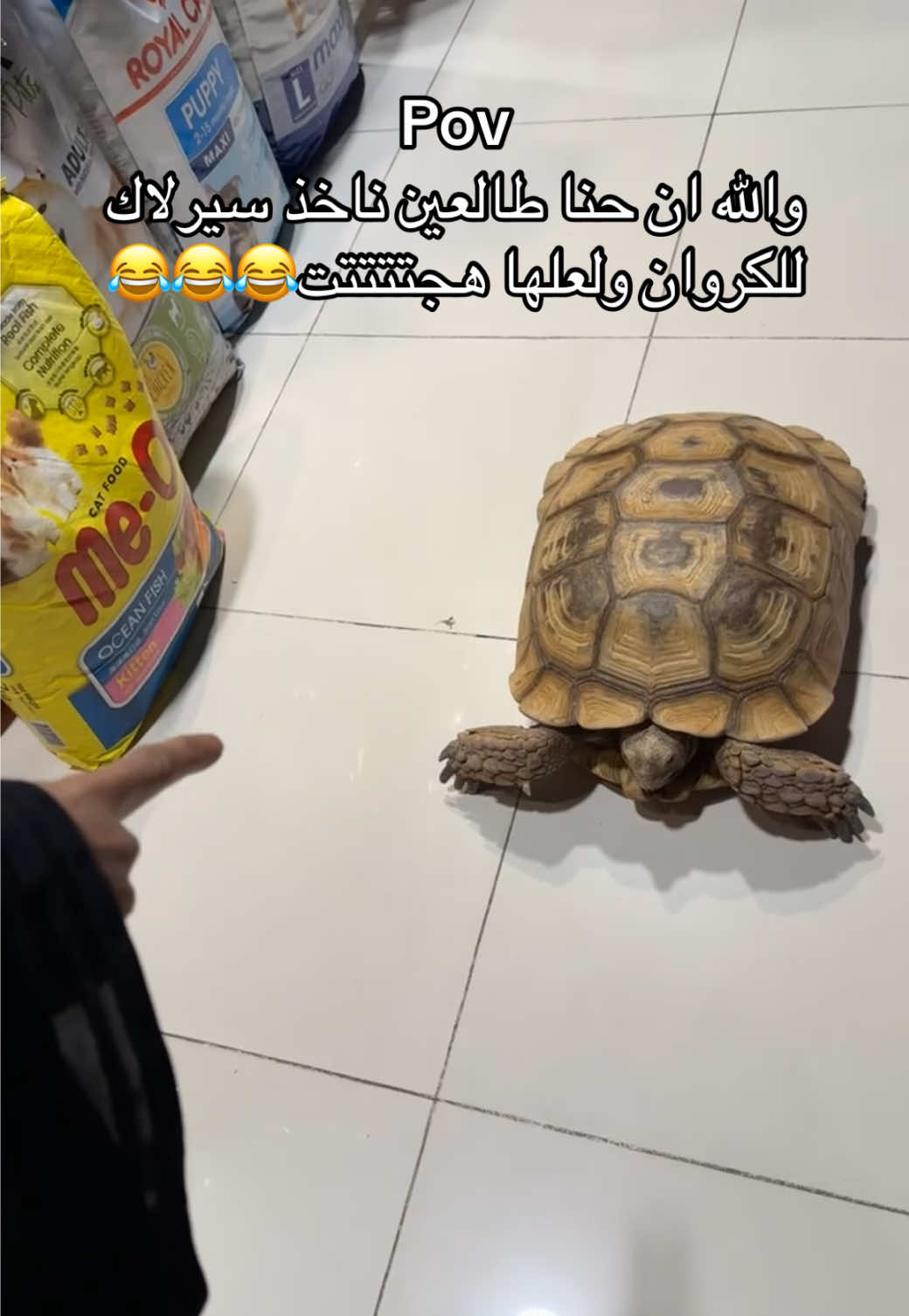مستحيل انسى هاذي الطلعه مع مها😂😂😂😂😂😂😂😂 #fyp #creatorsearchinsights #اكسبلور #foryoupage #الوالده_الغاليه_الله_يحفظها 