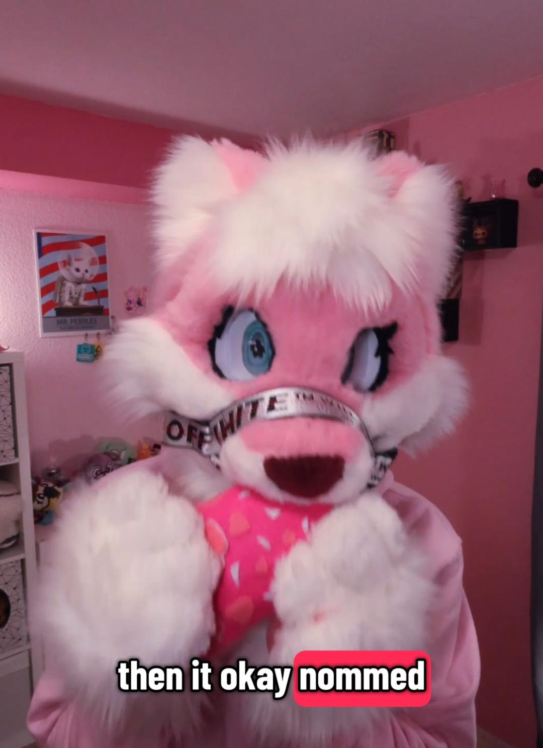 just a nibble #furry #furrymeme #furrycommunity #blahaj #femboy 