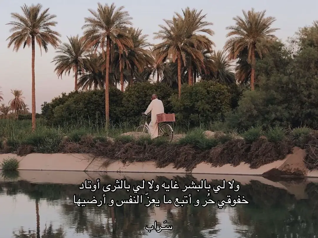 #قصيد #خواطر  #explore #fyp 
