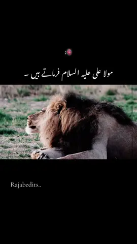 MoLa ALi(As) farmate Hein❤️#foryou #dontunderreviewmyvideo #growmyaccount #unfreezemyaccount #trending 