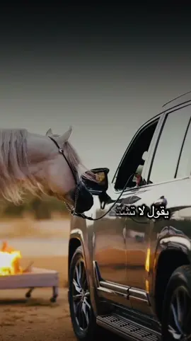 #أكسبلور_شعر_حكم_خواطر 