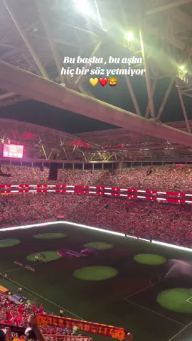 Bu başka 💛❤️  #Galatasaray #çocuklukaşkı #enbüyükcimbom #aşk #sevda 