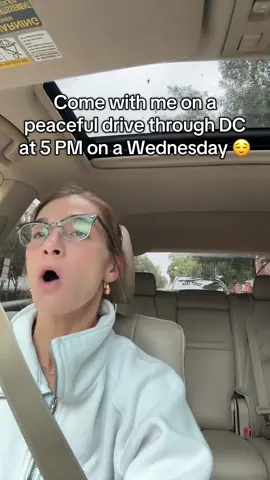 Ahhh nature 🌱 ☺️ #washingtondc #driving #rushhour #sarcasm #fyp
