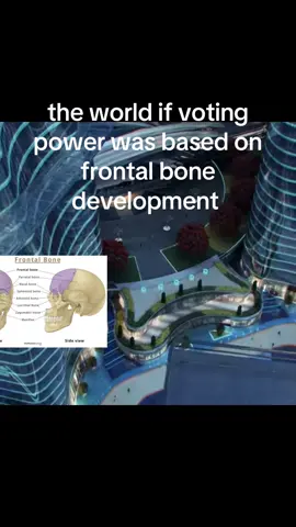 frontal bone development=more development frontal lobe development #genetics #blackpil #bp #iqpill #neurology 