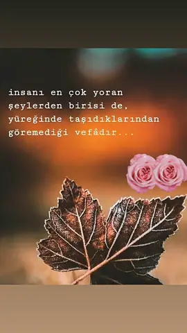 #🍂🤎🍂 
