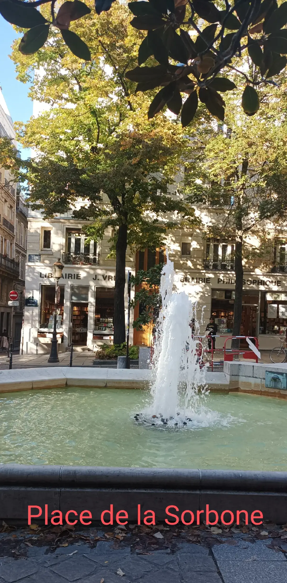 Place de la Sorbonne. Côté intellectuel.