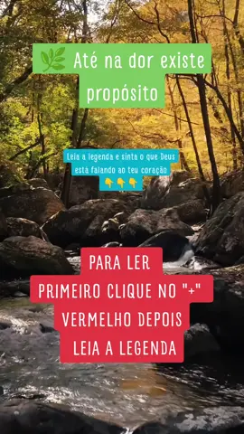 Filho amado, sei que às vezes parece que te perdi, e que o silêncio na Terra é profundo — mas estou mais perto do que imaginas. Sinto cada dor sua e cada vitória pequena; tenho observado teus dias e precisava falar contigo. Lembra das risadas que só nós entendíamos? Esses momentos estão sempre vivos para mim; quando um sorriso surge sem motivo, sou eu ao teu lado, lembrando-te que não precisas carregar esse peso sozinho. Vi tuas noites difíceis e as perguntas sem resposta; não ficou nada pendente entre nós — tudo o que vivemos foi belo e suficiente. Confia em ti e no caminho que segues: continua sonhando, por nós dois; dá o próximo passo sem medo, porque eu te animo e celebro teus passos. Quando quiseres sentir-me mais perto, respira fundo, fecha os olhos — eu estou aí, em cada luz, em cada paz que te invade. Guarda isto no coração: eu te amo, nada mudará isso, eu nunca te deixarei. Segue em frente, vive plenamente — eu estarei celebrando cada momento contigo. Se essa palavra tocou você, siga nossa página para receber mais mensagens como esta e continue assistindo aos próximos vídeos — ative as notificações para não perder. ✨ #MensagemDeFé #DeusCuidaDeVocê #EsperançaRenovada #ConfiaNoSenhor 