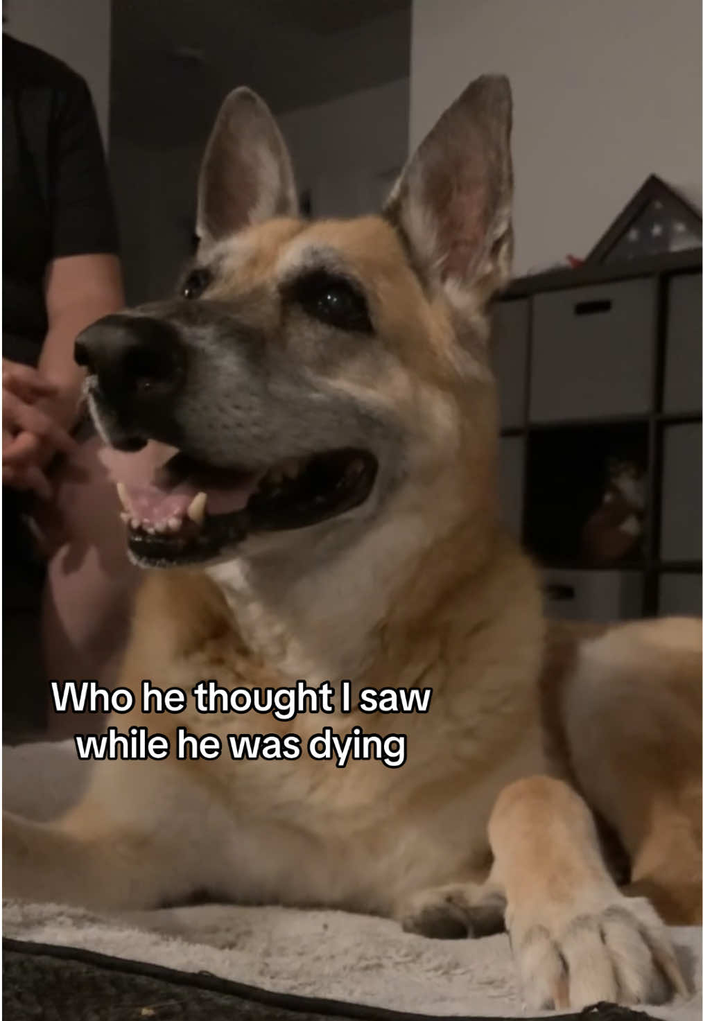 He will always be my baby 