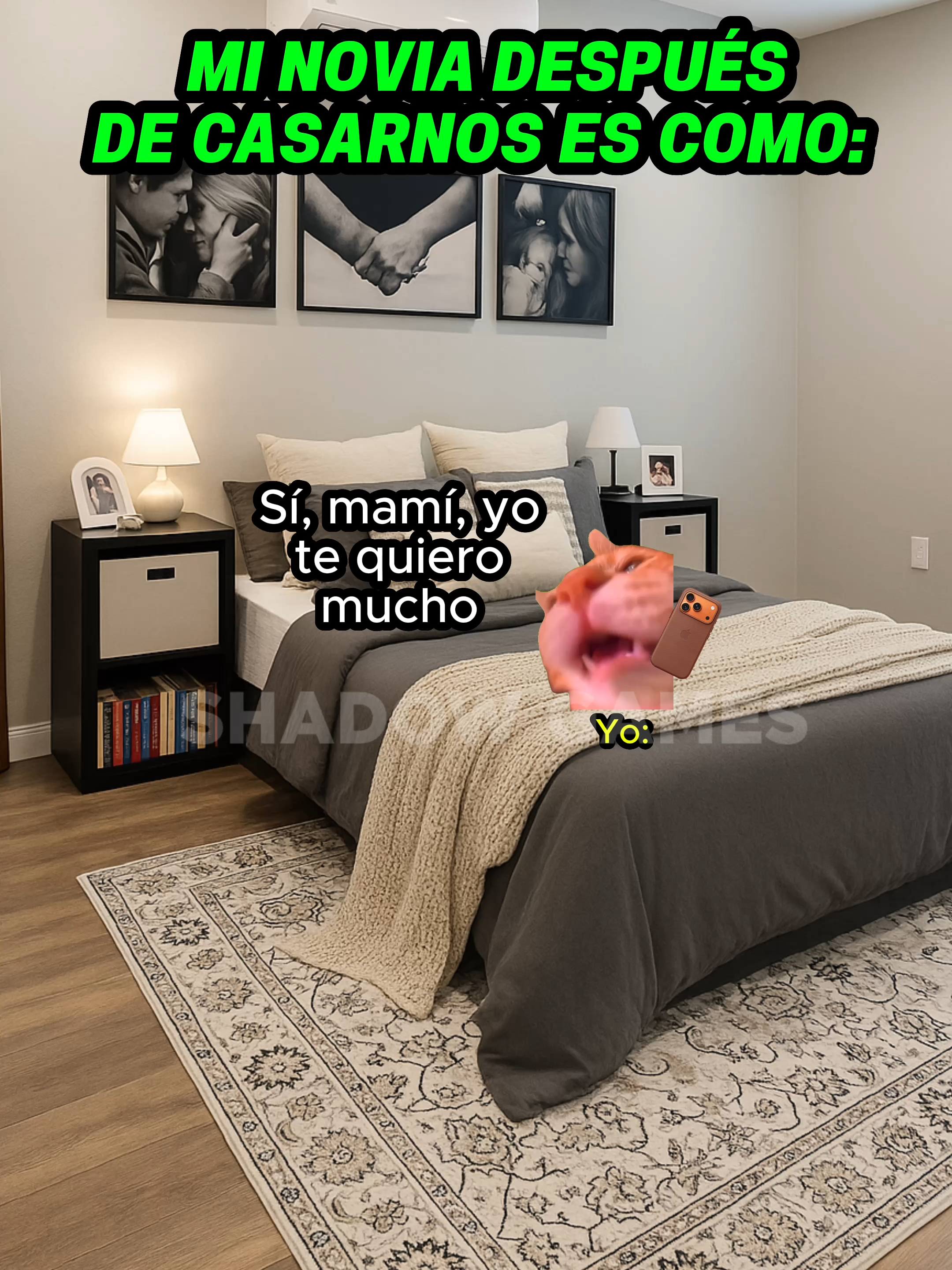 Mi novia despues de casarnos es como #gatitoslindos #storytime