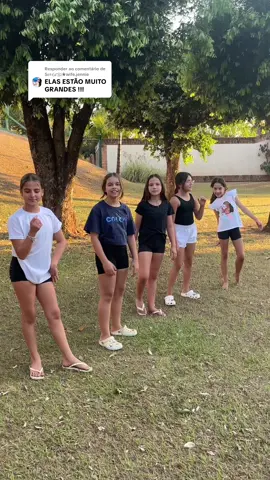Respondendo a @Sᥱrꫀׁׅܻ݊ꩇׁׅ֪݊ᨵׁׅ★wife.jennie ALGUÉM ME EXPLICA O QUE ROLOU AQUI? 🤦🏻‍♀️😂 #acrobatics #tiagre #fyp #fy 