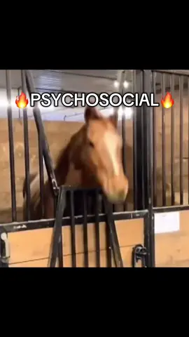 PSYCHOSOCIAL #psychosocial #slipknot #fyp #numetal #andtherainwillkillusall @Slipknot 