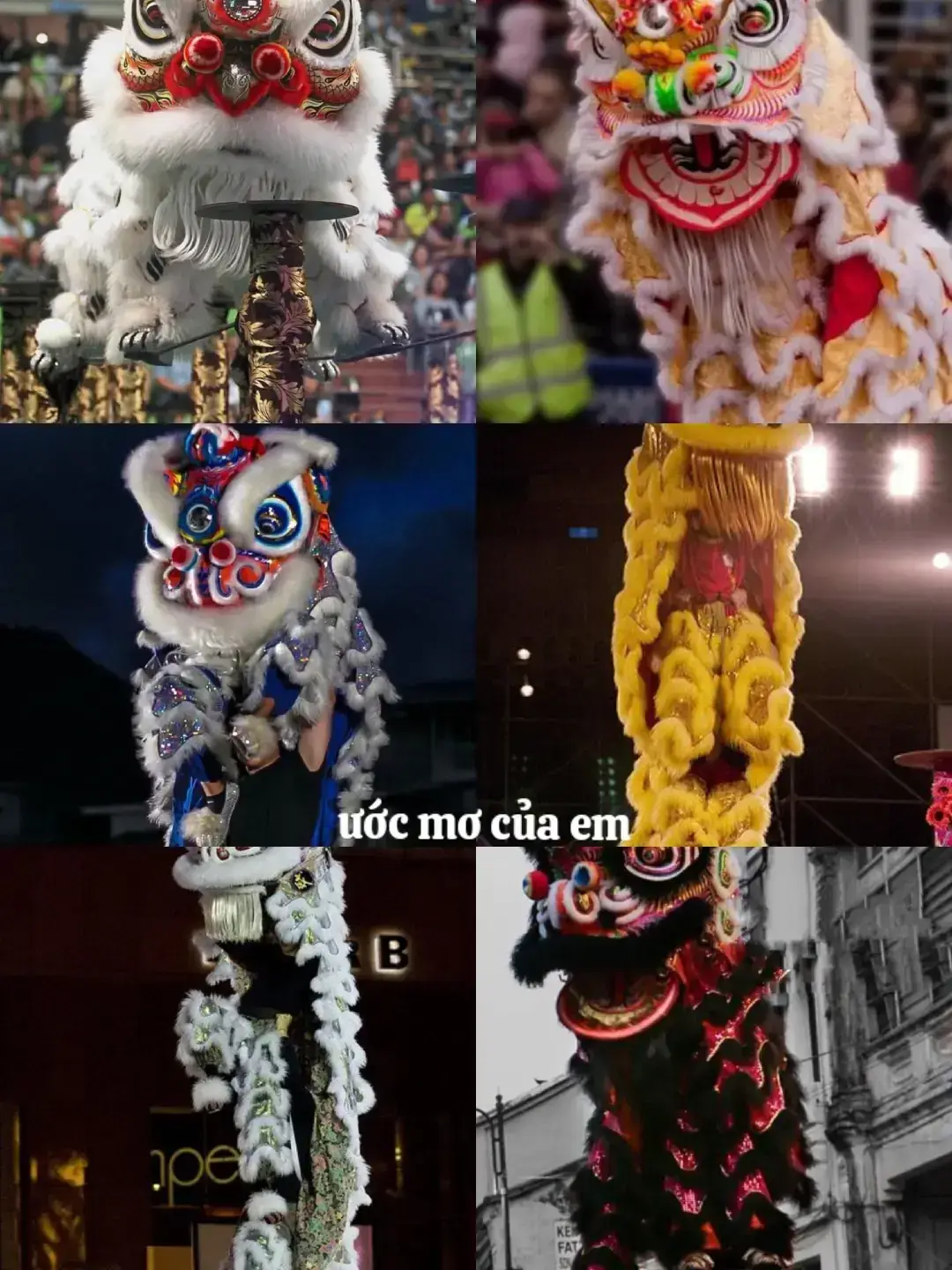 #xuhuongtiktok đam mê múa lân 