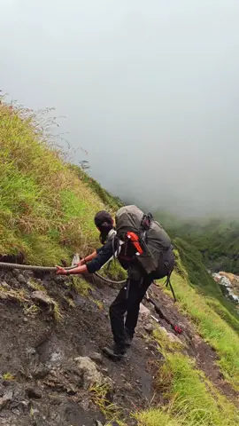gada otak  #pendakiindonesia #pendakigunung #torean  #rinjani3726mdpl♥ #sembalun 