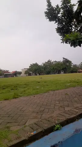 Todanan pagi hari setelah hujan . . . . #infotodanan #todanan #infoblora #blorakota #blora          