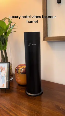 Sentiment diffuser! Great gift for anyone! I’m getting one for my office as well! #tiktokshop #giftideas 