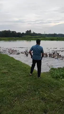 #baghdad #plz #video #Bangladesh @🍃🌿Esamoni 🍃🌿  গ্রাম টা অনেক সুন্দর। 