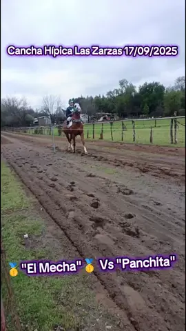 Cancha Hípica Las Zarzas 17-09-2025🏇🏇❤️🇨🇱 #chileneras🐴💯 #campochileno🇨🇱🐴❤ #carrerasalachilena🐎 #paratiiiiiiiiiiiiiiiiiiiiiiiiiiiiiii #caballos 