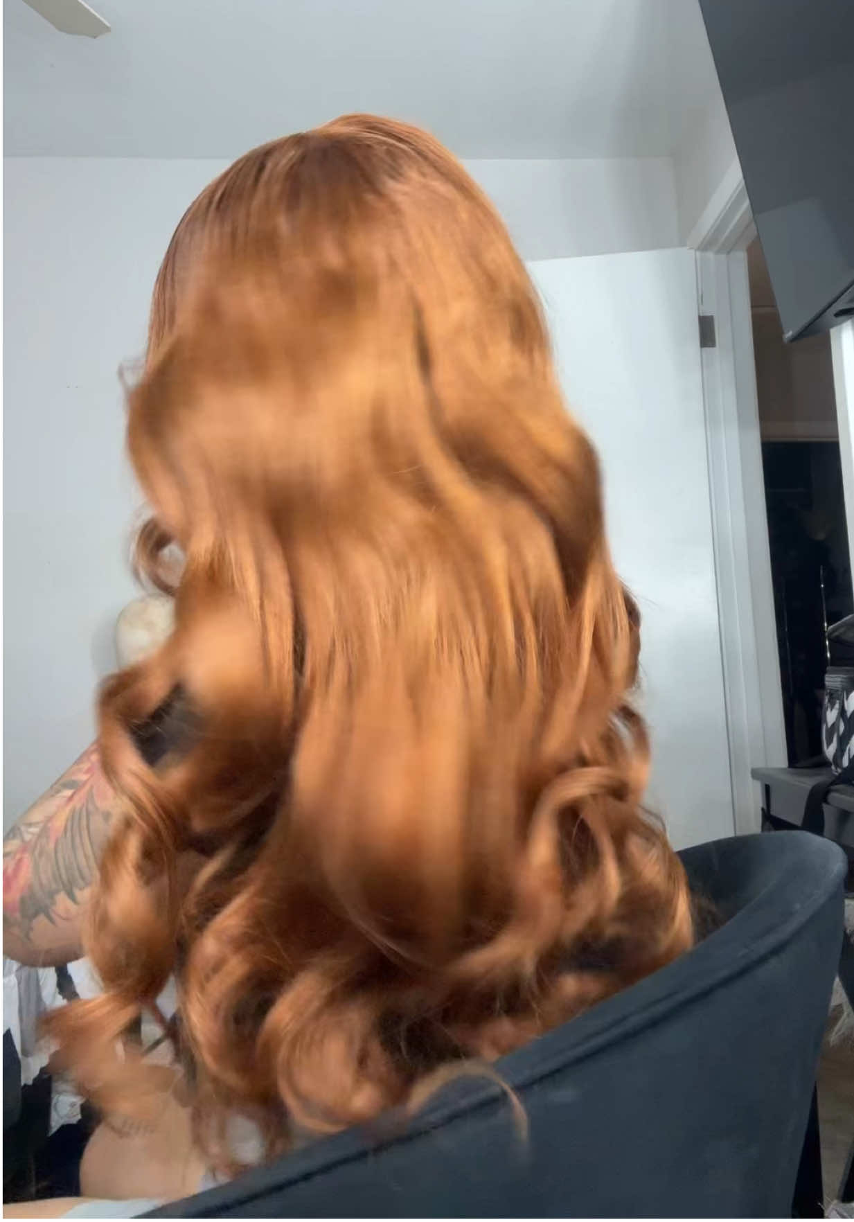 @dachichairofficial #dachichair 