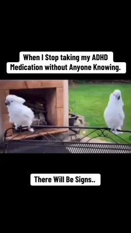 There Will Be Signs!!! #WhenYouDontTakeYourMeds #ADHD #CrashOut #FreeBird #Fyp 