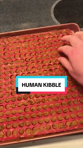 HUMAN KIBBLE INSPO  @Mikkerz #kibblelover  #humankibble #kibble  #experiment 