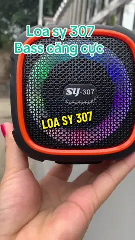 Loa sy 307 âm trầm bass căng #loasy307 #xuhuong #loa #loabluetooth #xuhuong 
