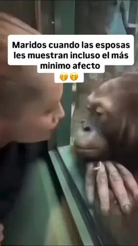 😂