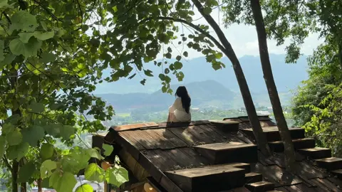 Và ai cất bước đi #munaufarm #mocchau #motchutbinhyen🍀 #sunset #cayuocnguyenmocchau 