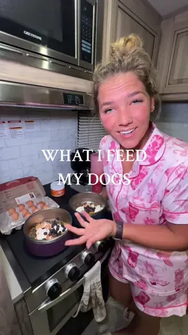 Yes, they are my children  If you’re new here, hi my name is Tori! I live and travel full time in a camper with my blue collar man for his job on the pipelines! Follow along for camper tips, lifestyle vlogs, and all things blue collar!🫶🏽  #camperlife #lifeontheroad #bluecollarwife #dogmom #dogsoftiktok 