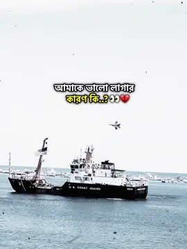 ভালো লাগার কারণ কি..? 👀💔 ..  .. .. .. #foryou #viral #fypシ #action__boss 