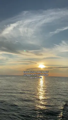 Cinta monyett#manadostory #fypppppp 
