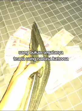 di copy lagi kanda#fyppppppppppppppppppppppp #sulawesitengah #foryou #anaksigi #anaksulawesi 