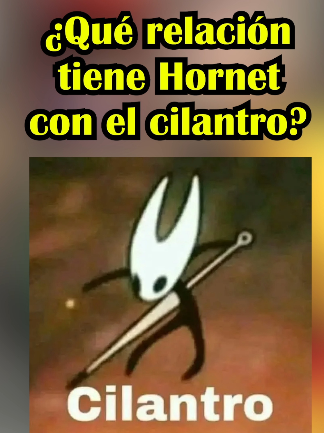 ¿Qué relación tiene Hornet con el Cilantro? 👀 #español #linguistica #lenguaje #silksong 