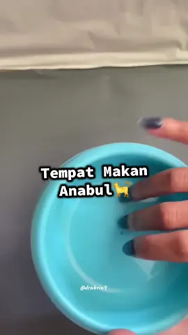#fypシ #tempatmakankucing #affiliate #masukberanda 