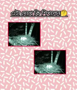 এটা দেখে কি শিখলেন..?  #foryou #foryoupage #unfrezzmyaccount #viral #trending 