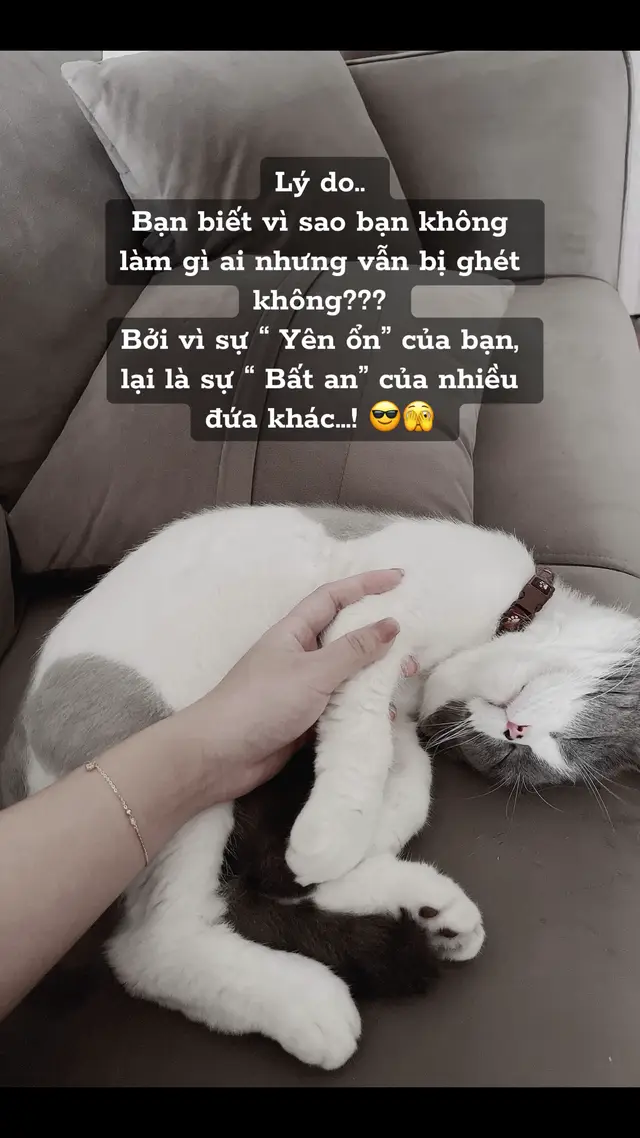 Bởi dị lên tui cứ ế miệt mài … 🙄😎