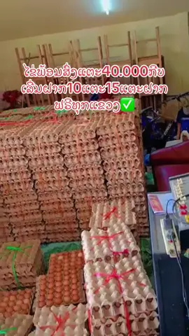 ສົນໃຈສອບຖາມລາຍລະອຽດໄດ້ໄຂ່ງາມໄຂ່ສົດເກັບຈາກຟາມທຸກມື້💯#ໄຂ່ໄກ່ຈາກຟາມ🐣ໄຂ່ໄກ່ສົດຈາກຟາມ🐣 #ຂາຍລາຄາຖືກໆ #ຂື້ນຫນ້າຟິດແນ່ເດີ້ #ສົ່ງທົ່ວປະເທດລາວ🇱🇦✅ 