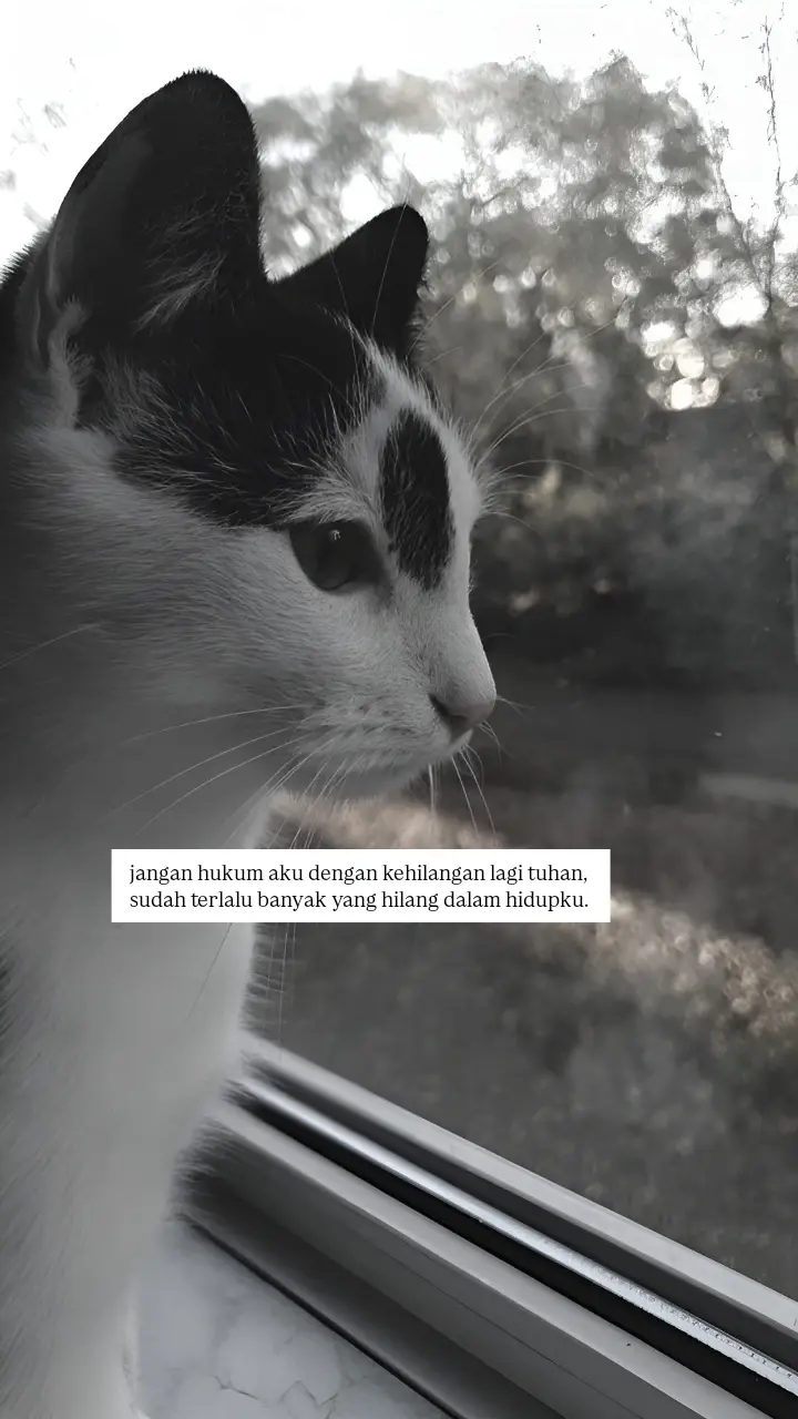 #4u #sadstory #fyp 