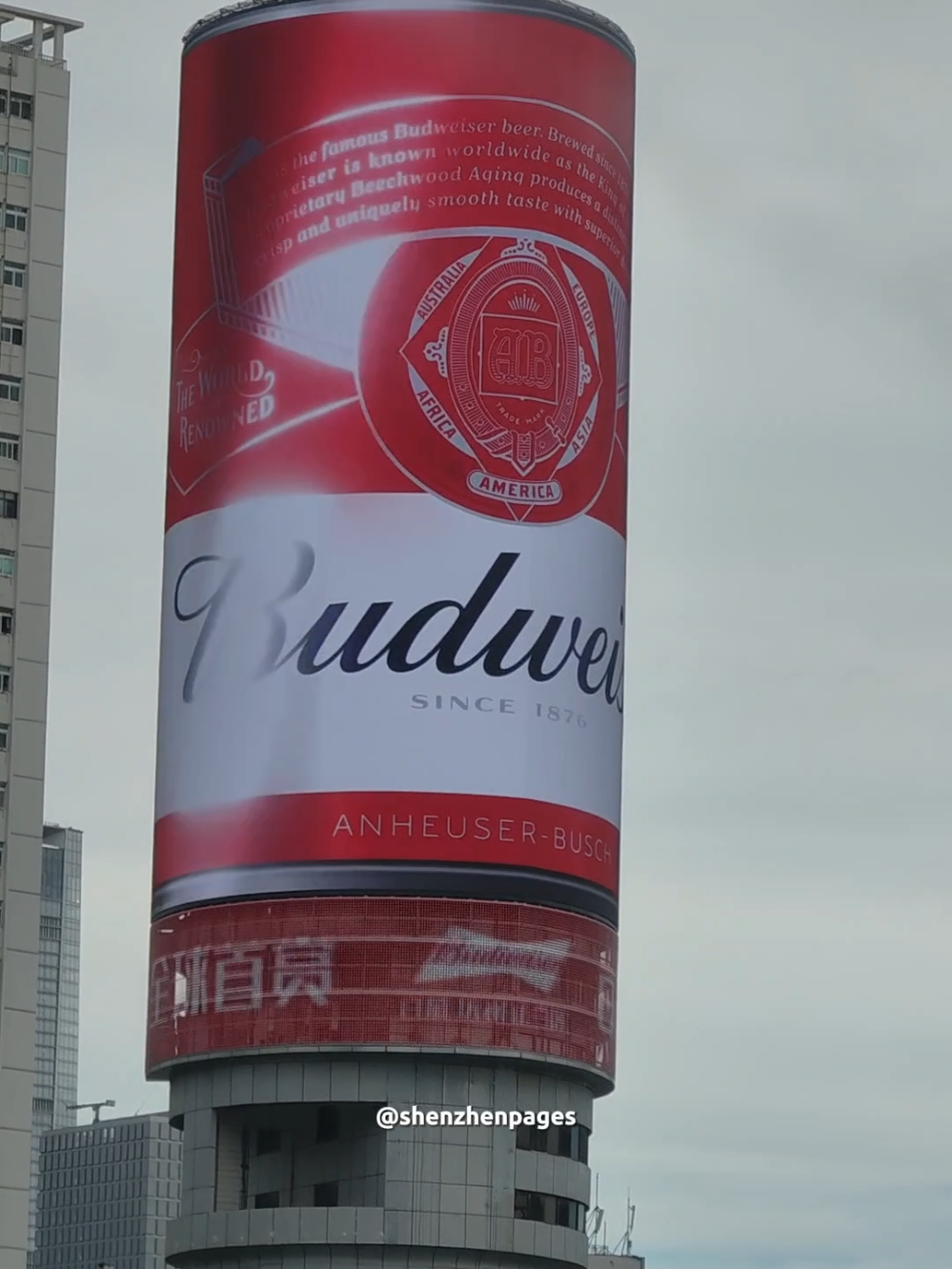 A huge Budweiser ad on top of a building in Shenzhen, China 🍻 #shenzhen #travelchina #tiktokchina #chinatiktok #budweiser 