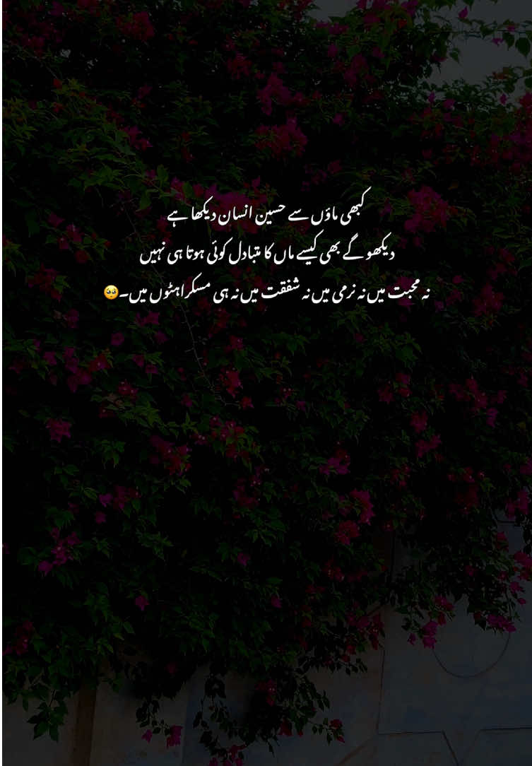 Hyeee🫶🥹#grow #poetry #fyp #viralvideos #aestheticvideos 