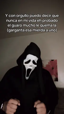 Nunca ni lo volveré hacer #parati #humor #viral #ghostface #sigueme 