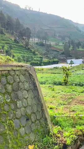 Lagune garai pengen dolan adoh neh cah #dieng #wonosobo 